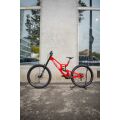 Sjezdové kolo Santa Cruz V10 8 CC MX 24 LG Clr1 DH S