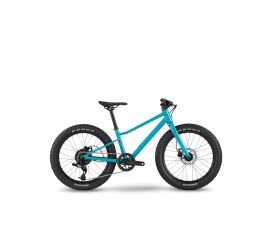Dětské kolo BMC Twostroke AL 20 V2