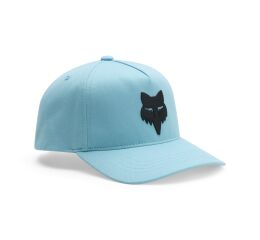 Dětská čepice Fox Yth Fox Head Subframe Hat