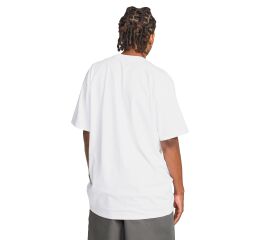 Pánské triko Volcom Devilish Sst