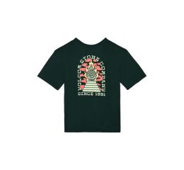 Dětské triko Volcom Altarium Sst