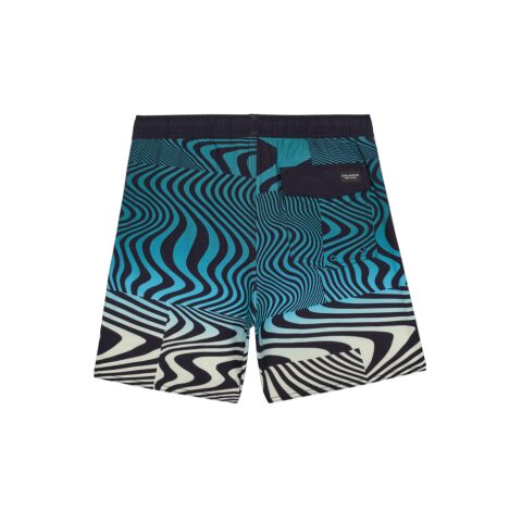 Dětské plavky Volcom Lido Print Trunk Youth